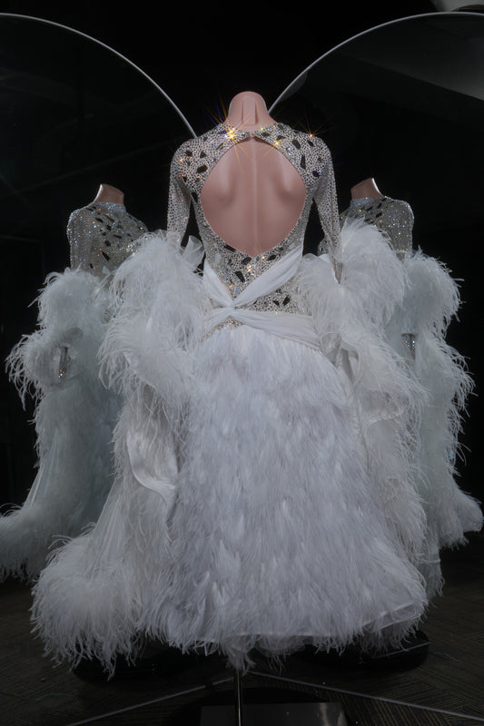 MINEJAS.L542 All-Over Crystal White Ballroom Dance Dress with Feather Skirt & Cuffs | Sheer Mesh Standard Gown