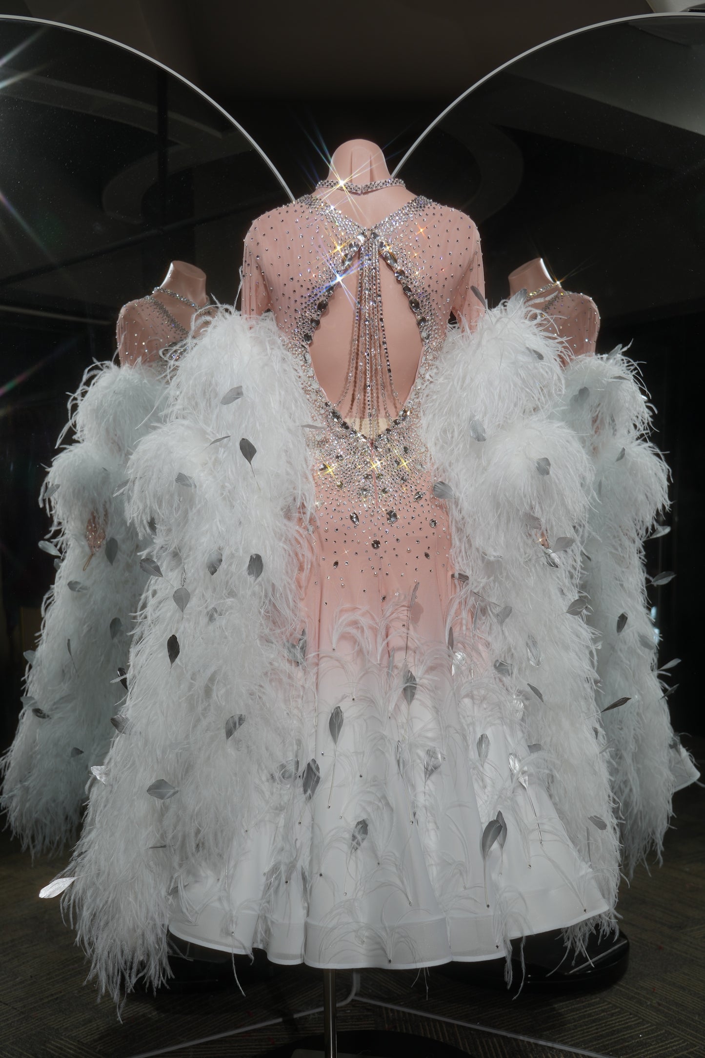 MINEJAS.L546 Blush Pink to White Ombre Ballroom Dance Dress with Feather & Crystal Embellishments | Standard Competition Gown