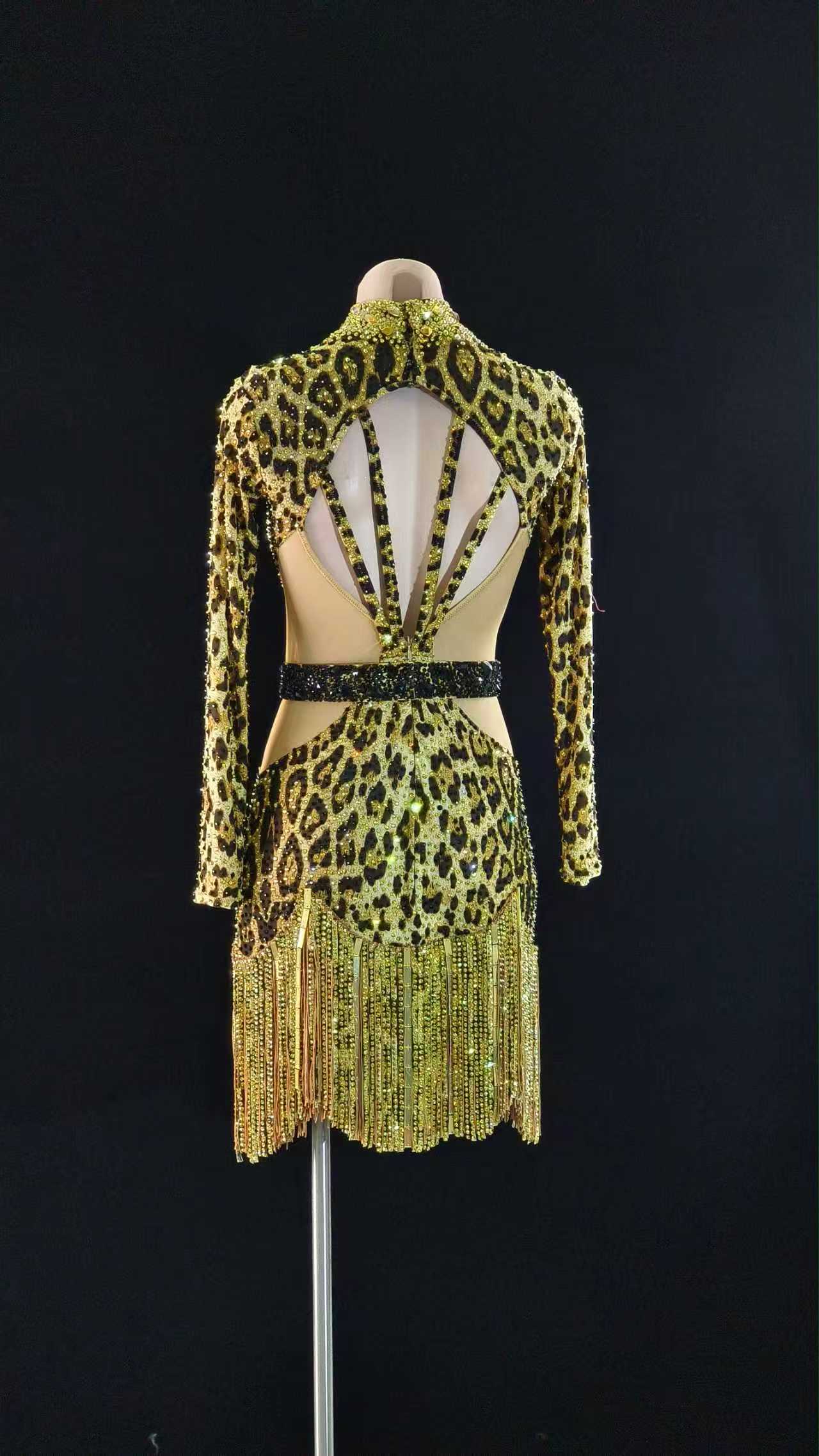 PERMINO.L028F Leopard Latin Dance Costume for Women – Long Sleeve Fringe Salsa Dress
