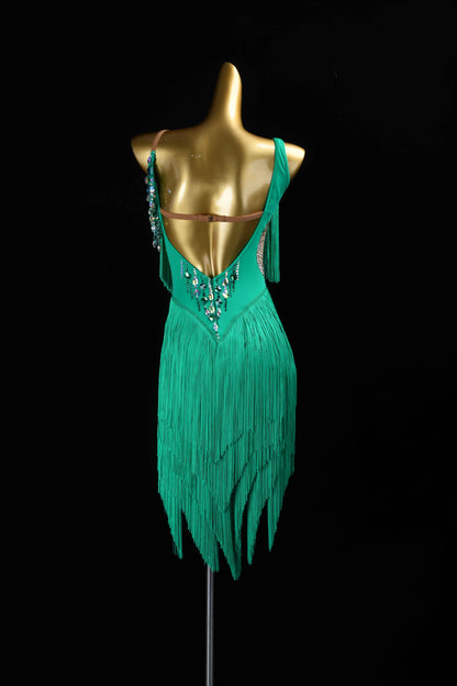 MINEJAS.L425 Green Fringe Latin Bachata Dance Costume