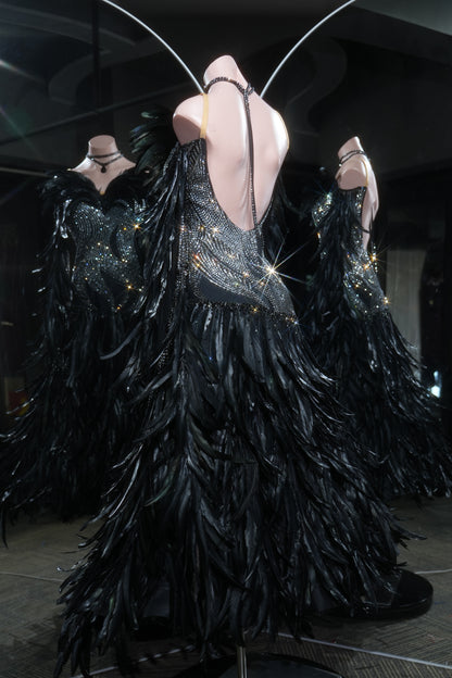 MINEJAS.L555 Black Feather Ballroom Dance Dress with Silver Swarovski Rhinestone Bodice | Open-Back Standard Gown