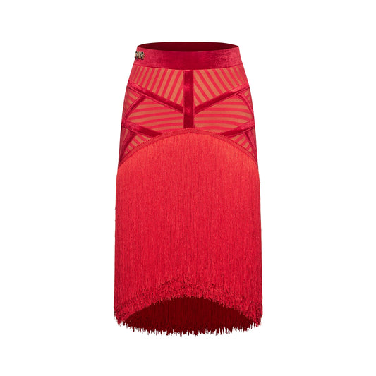 DUYQ [NSAD] 014 geometric splicing skirt national standard women's Latin dance practice performance professional class uniform