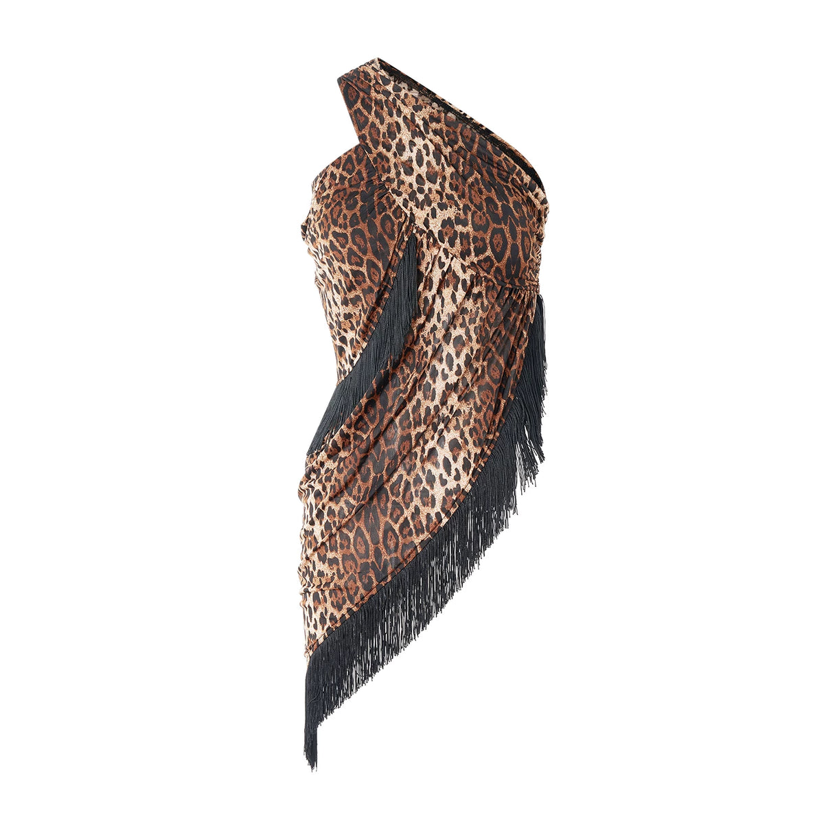 DUYQ "Leopard Hidden, Xia Ying" Modern 001 Slant Shoulder Irregular Tassel Top National Standard Women's Modern Dance Practice Suit