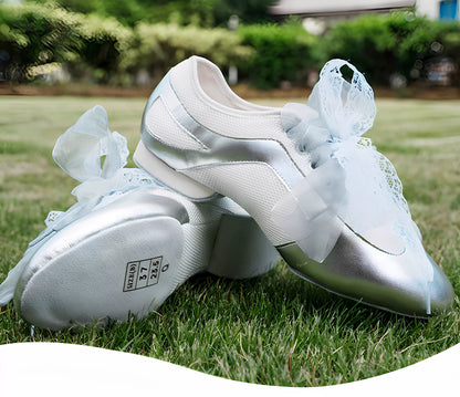 DRH DANCE-101.Ballet Silver Teacher Shoes, Latin Modern Practice Shoes Women's Adult Dance Shoes Summer Mesh