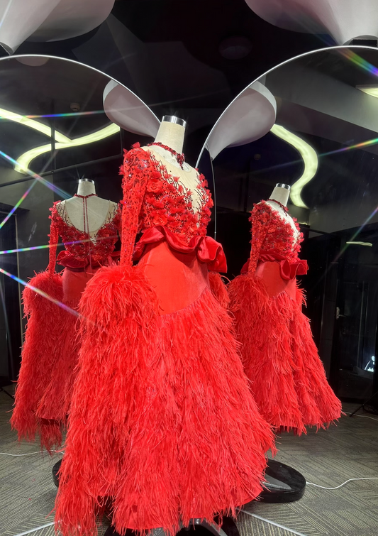 PEI.B015 Red Feather Ballroom Stage Dance Costume - Mine·Jas