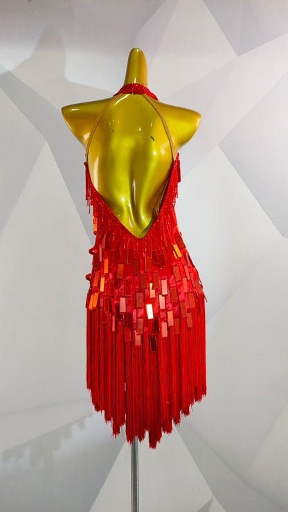 MINEJAS.F1426 Red Mirror Sequin Fringe Dynamic Latin Dance Dress