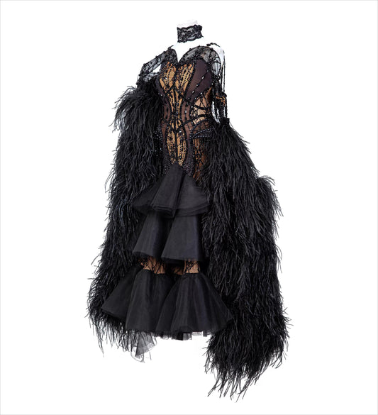 TID women's ballroom costume ballroom dance professional competition dress M1297